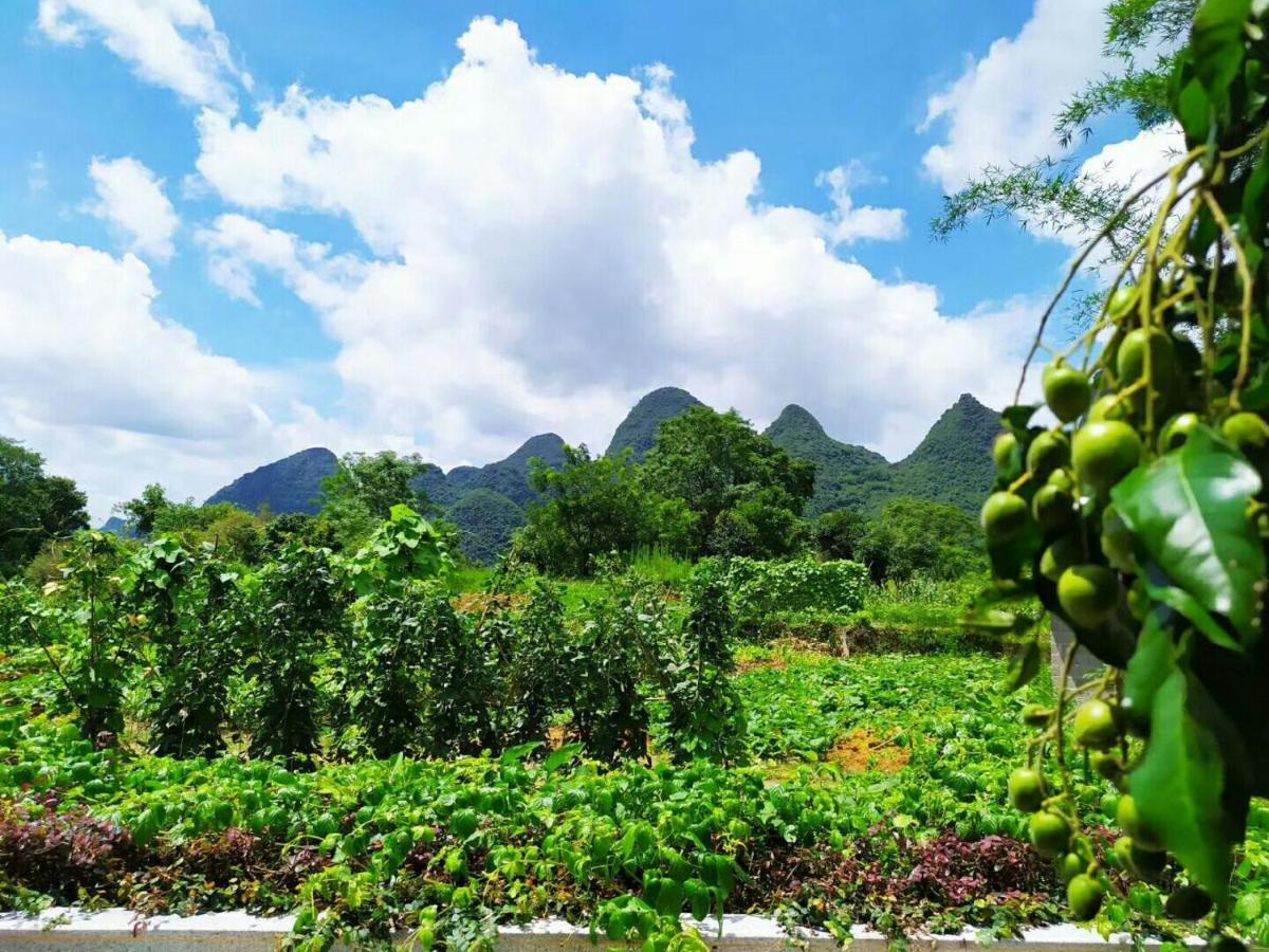 Yangshuo Coco Garden Hotel Exterior foto